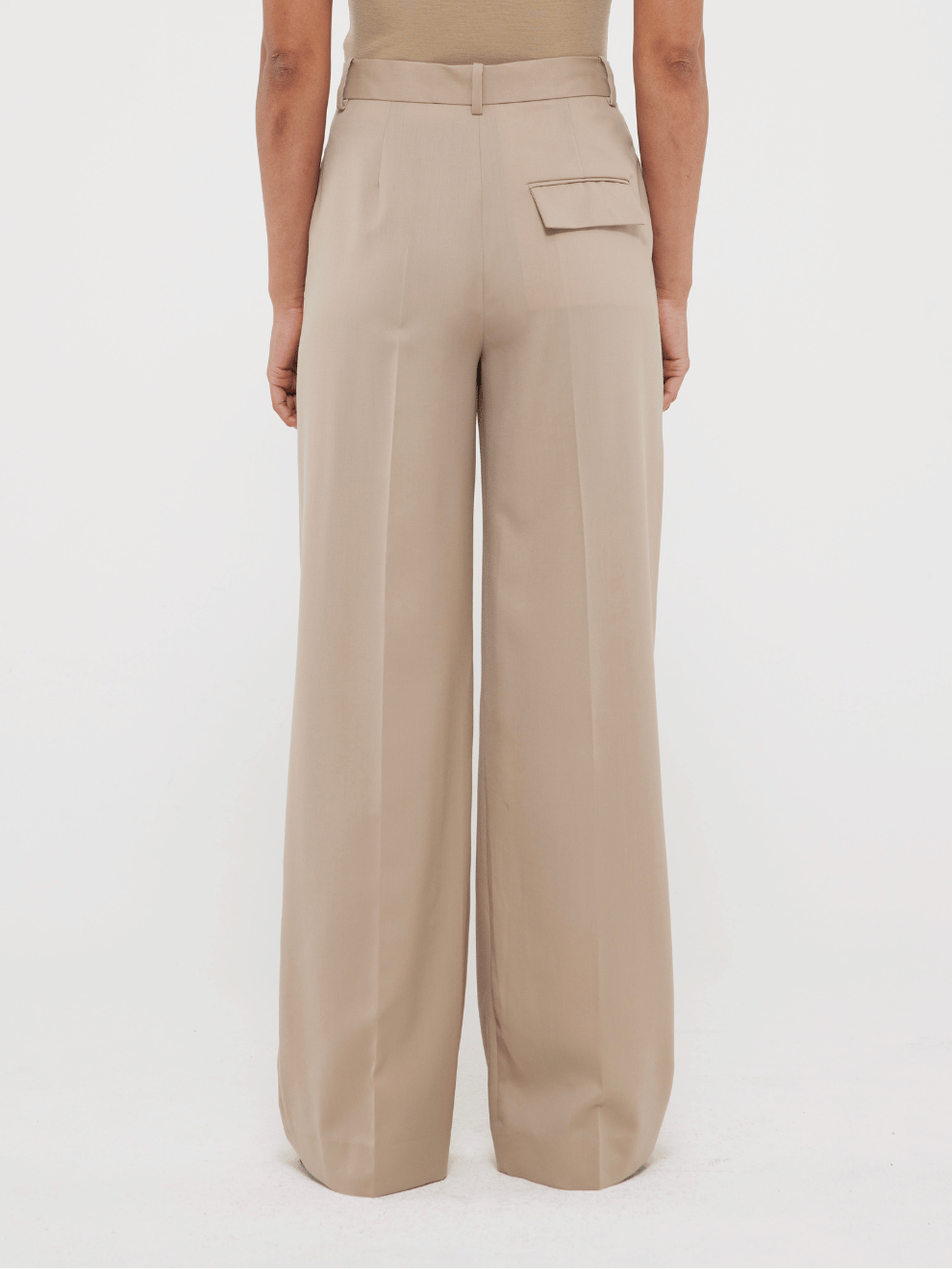 Wide Leg Pleated Trousers in Beige