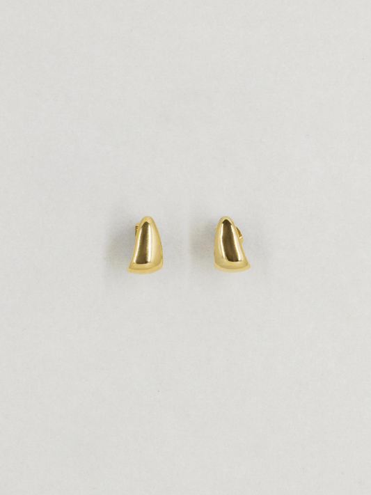 Rosco Earrings in Gold
